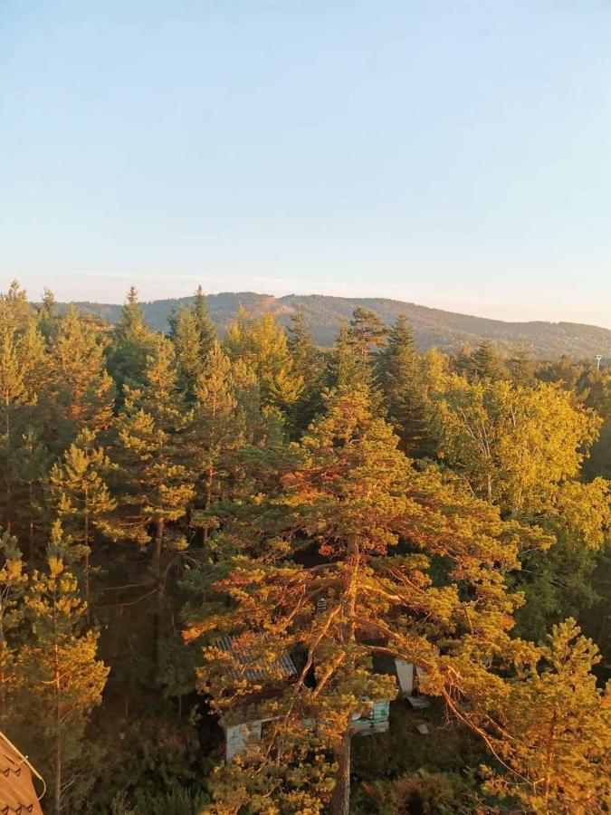 Divcibare Planinski Mir A19 ภายนอก รูปภาพ