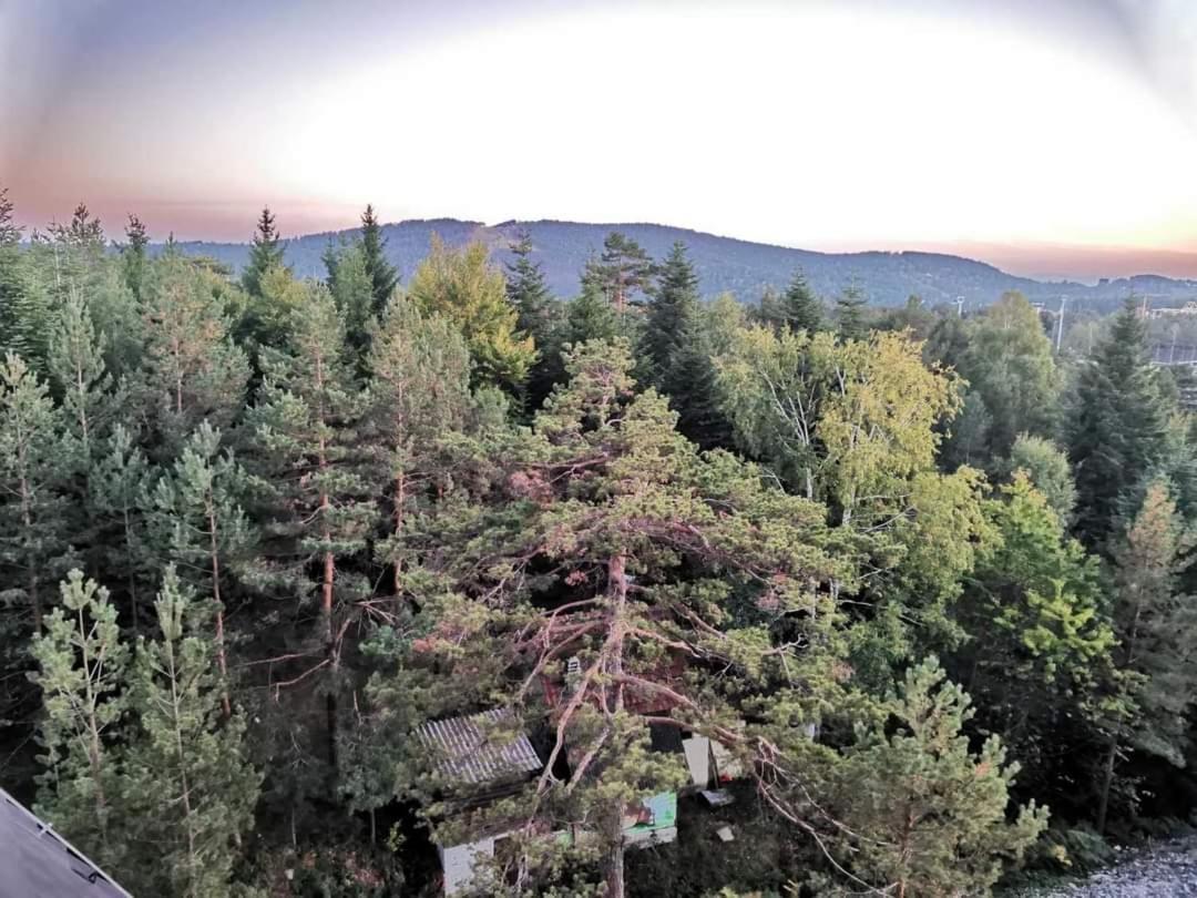 Divcibare Planinski Mir A19 ภายนอก รูปภาพ